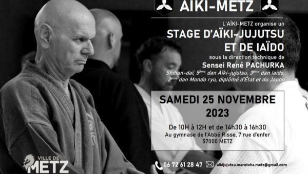 Stage d'Aïki-Jujutsu et de Iaïdo